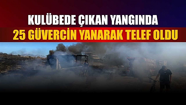 Kulübede çıkan yangında 25 güvercin yanarak telef oldu