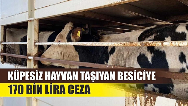 Küpesiz Hayvan Taşıyan Besiciye 170 Bin Lira Ceza