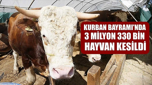 Kurban Bayramı'nda 3 milyon 330 bin hayvan kesildi