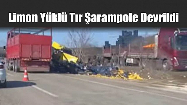 Limon Yüklü Tır Şarampole Devrildi