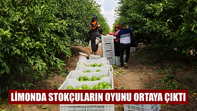 Limonda stokçuların oyunu ortaya çıktı