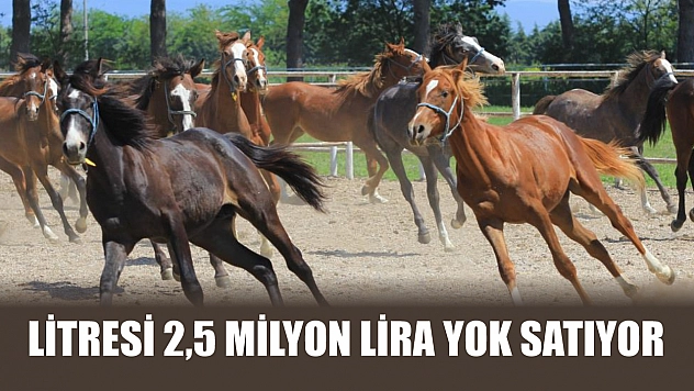 Litresi 2,5 milyon lira yok satıyor