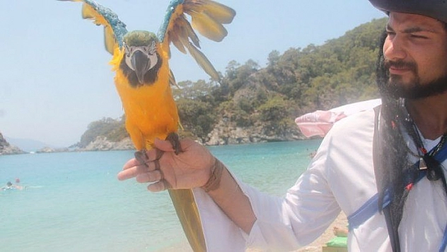 MAHMUT, ÖLÜDENİZ PLAJI'NIN MASKOTU OLDU