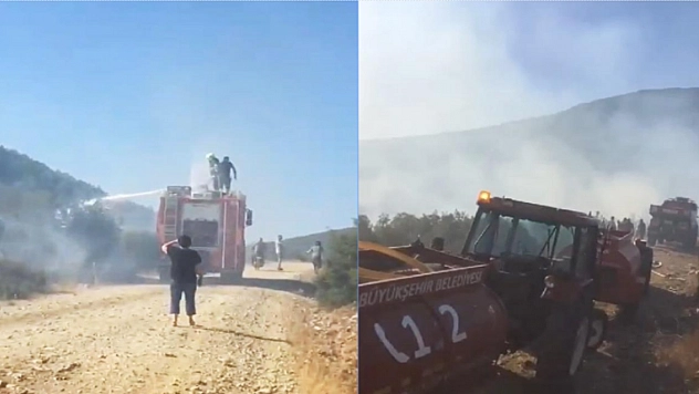 Makilik yangını ormana sıçramadan söndürüldü