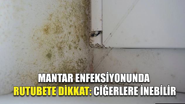 Mantar enfeksiyonunda rutubete dikkat: Ciğerlere inebilir