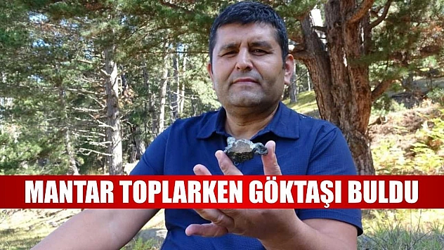 Mantar toplarken göktaşı buldu
