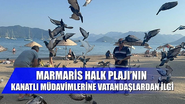 Marmaris Halk Plajı'nın kanatlı müdavimlerine vatandaşlardan ilgi