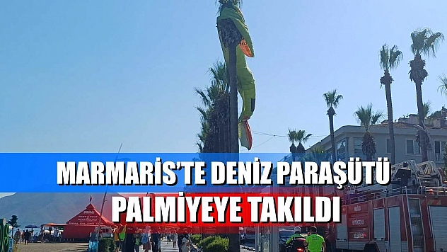 Marmaris'te deniz paraşütü palmiyeye takıldı