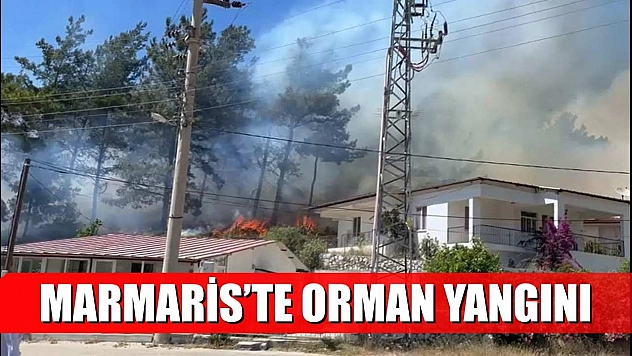 Marmaris'te orman yangını