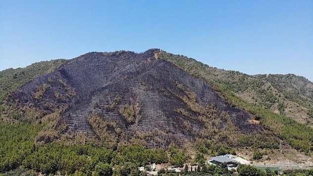 Marmaris'te yanan ormanlık alan havadan görüntülendi
