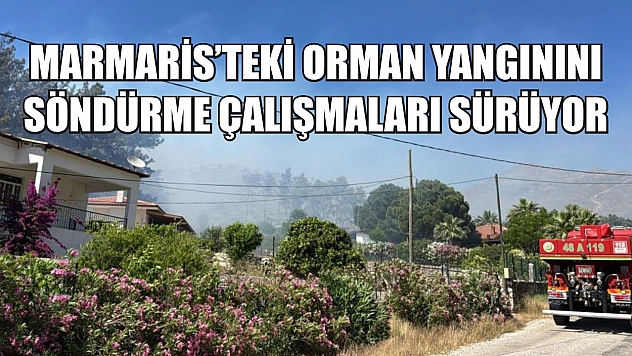 Marmaris'teki orman yangınını söndürme çalışmaları sürüyor