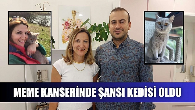Meme kanserinde şansı kedisi oldu
