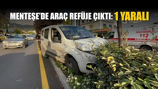 Menteşe'de araç refüje çıktı: 1 yaralı