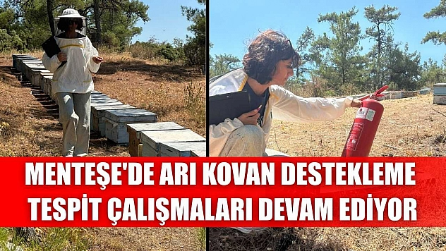 Menteşe'de arı kovan destekleme tespit çalışmaları devam ediyor