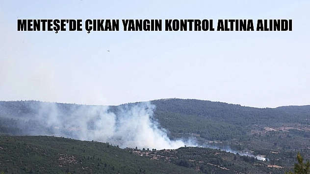 Menteşe'de çıkan yangın kontrol altına alındı