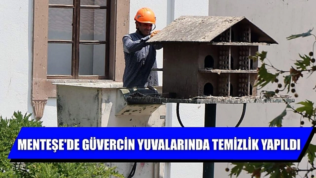 Menteşe'de güvercin yuvalarında temizlik yapıldı