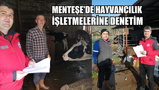 Menteşe'de hayvancılık işletmelerine denetim