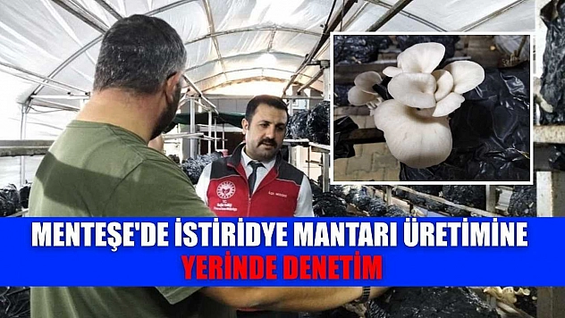 Menteşe'de istiridye mantarı üretimine yerinde denetim