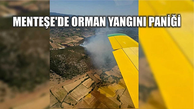 Menteşe'de Orman Yangını Paniği