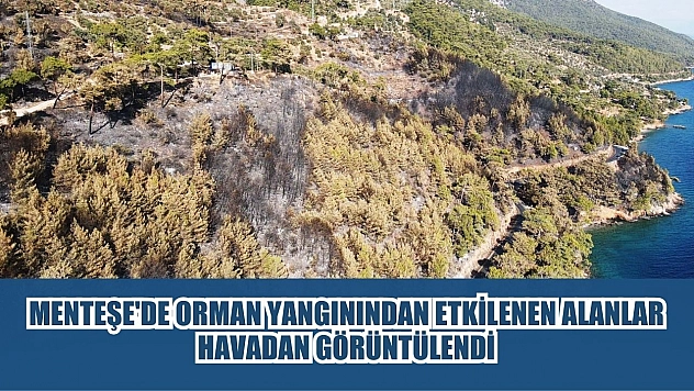 Menteşe'de orman yangınından etkilenen alanlar havadan görüntülendi