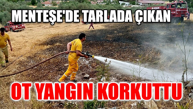 Menteşe'de Tarlada Çıkan Ot Yangın Korkuttu
