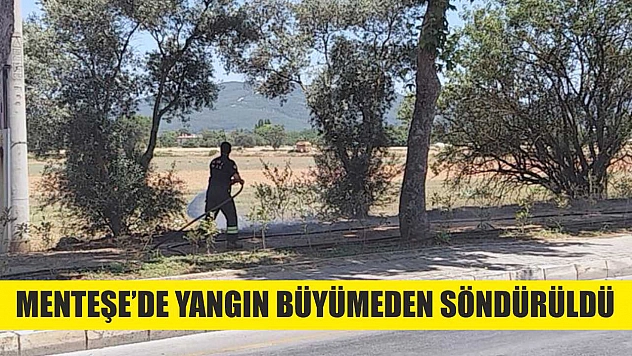 Menteşe'de yangın büyümeden söndürüldü