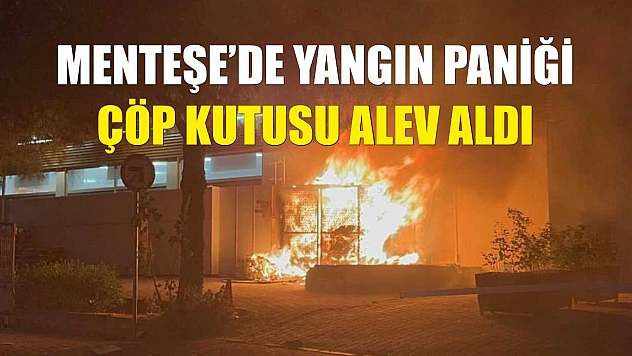 Menteşe'de yangın paniği: Çöp kutusu alev aldı