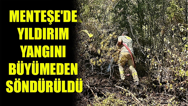 Menteşe'de yıldırım yangını büyümeden söndürüldü
