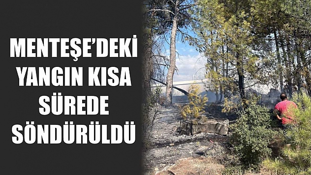 Menteşe'deki yangın kısa sürede söndürüldü
