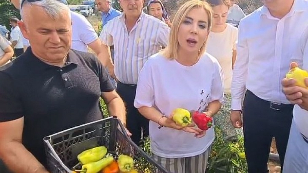 MENTEŞE FADIL'DA BİBER VE LAVANTA HASADI