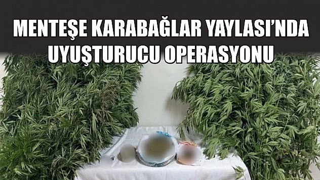 Menteşe Karabağlar Yaylası'nda Uyuşturucu Operasyonu