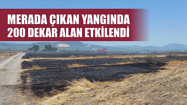 Merada çıkan yangında 200 dekar alan etkilendi