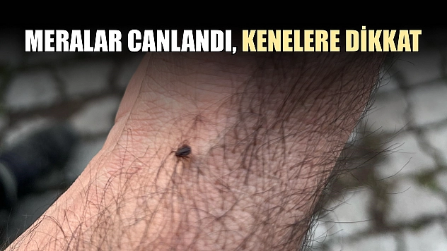 Meralar canlandı, kenelere dikkat