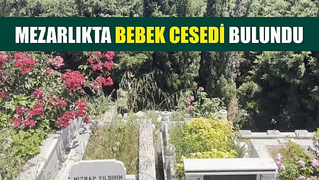 Mezarlıkta bebek cesedi bulundu