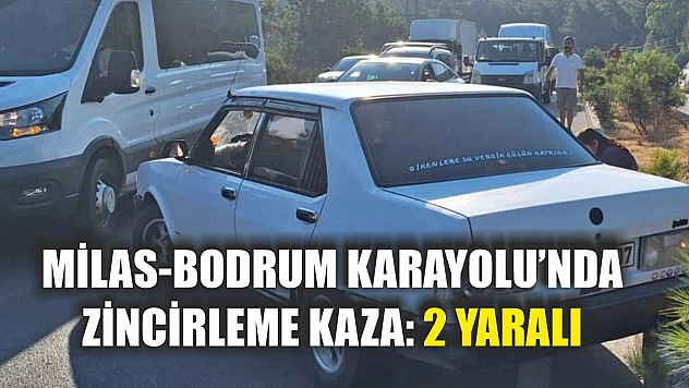 Milas-Bodrum Karayolu'nda zincirleme kaza: 2 yaralı