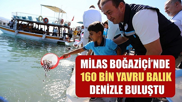 Milas Boğaziçi'nde 160 Bin Yavru Balık Denizle Buluştu