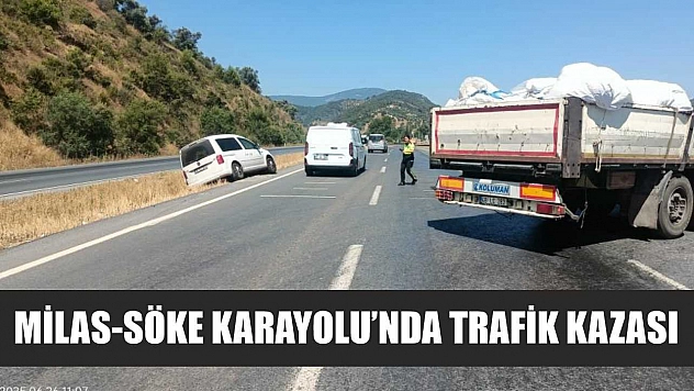 Milas-Söke Karayolu'nda trafik kazası