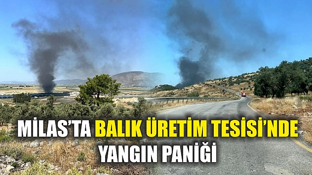 Milas'ta Balık Üretim Tesisi'nde yangın paniği