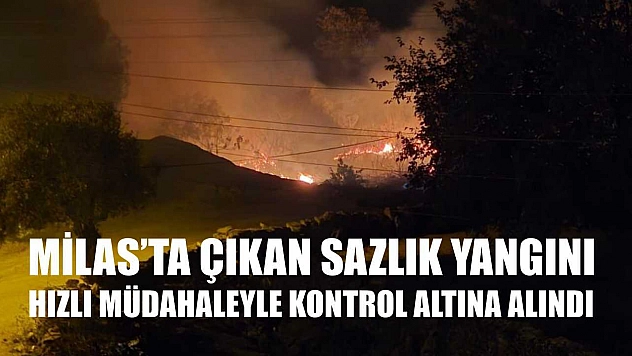 Milas'ta çıkan sazlık yangını hızlı müdahaleyle kontrol altına alındı