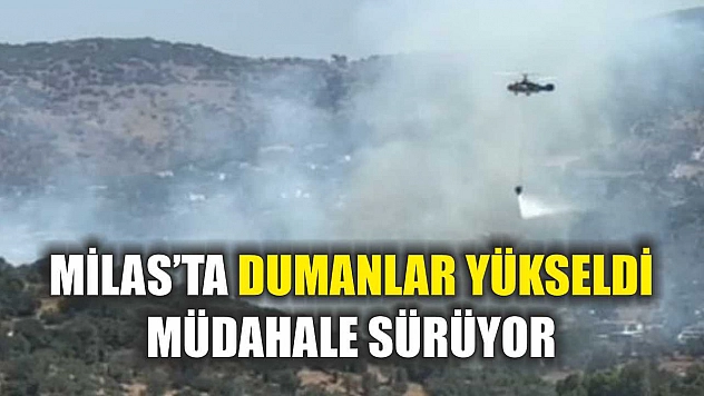 Milas'ta dumanlar yükseldi, müdahale sürüyor