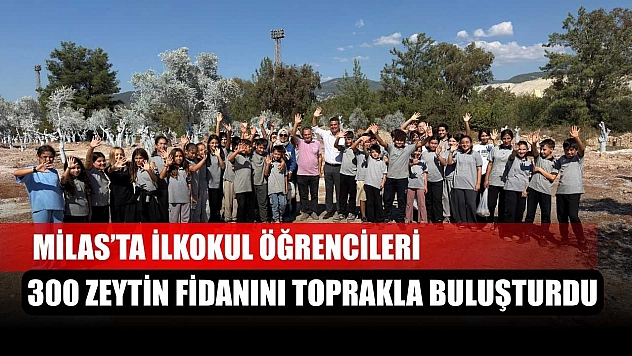 Milas'ta ilkokul öğrencileri 300 zeytin fidanını toprakla buluşturdu