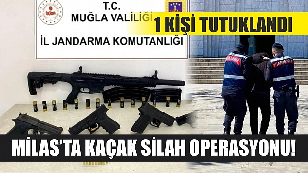 Milas'ta kaçak silah operasyonu! 1 kişi tutuklandı