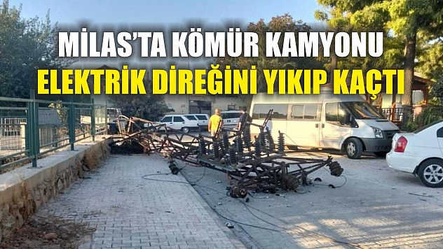 Milas'ta Kömür Kamyonu Elektrik Direğini Yıkıp Kaçtı
