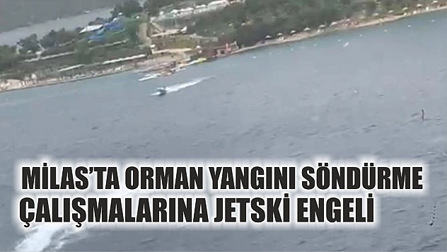 Milas'ta orman yangını söndürme çalışmalarına jetski engeli