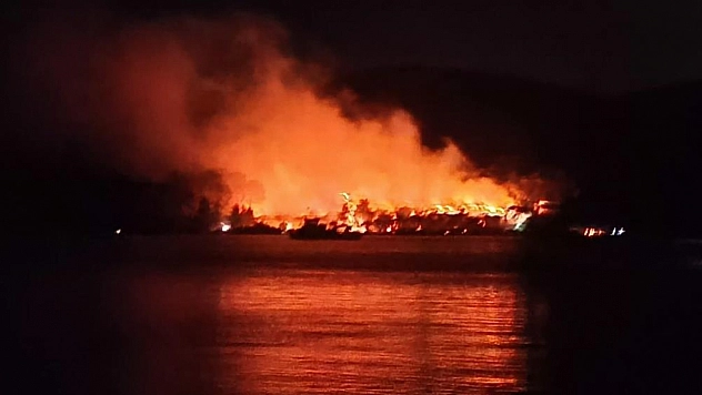 Milas'ta orman yangını