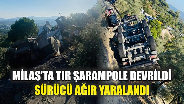 Milas'ta tır şarampole devrildi: sürücü ağır yaralandı