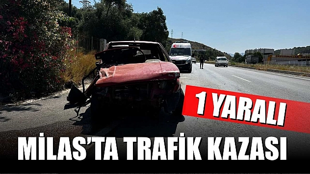 Milas'ta trafik kazası: 1 yaralı