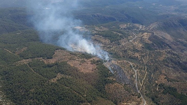 Milas'ta zirai alandaki yangını söndürme çalışmaları devam ediyor
