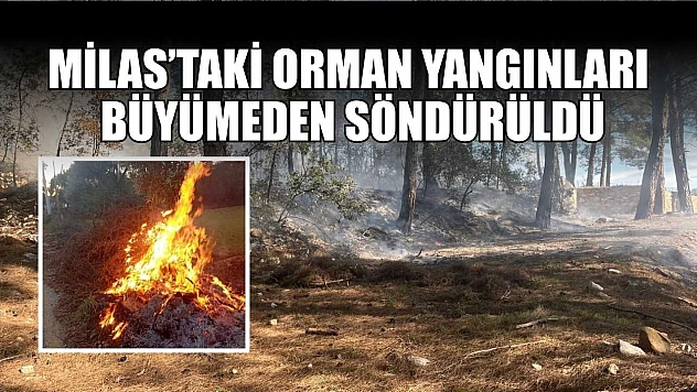 Milas'taki orman yangınları büyümeden söndürüldü
