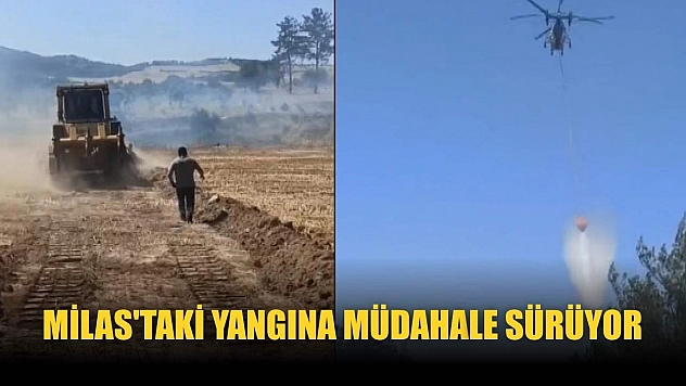 Milas'taki yangına müdahale sürüyor
